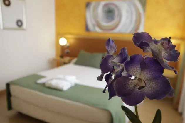 Standard Tek Büyük Yataklı Oda, 1 Çift Kişilik Yatak