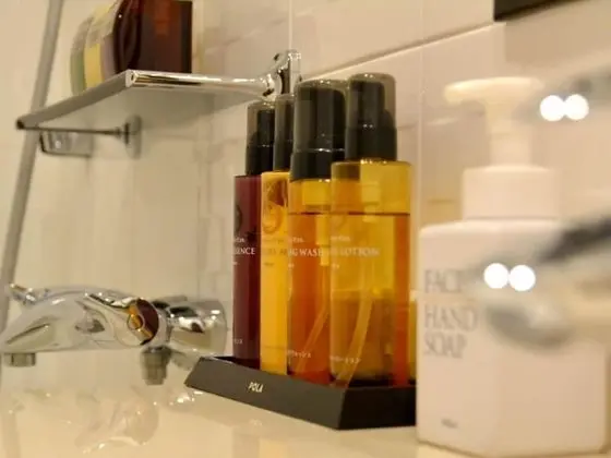 Deluxe Oda, 2 Tek Kişilik Yatak, Sigara İçilmez