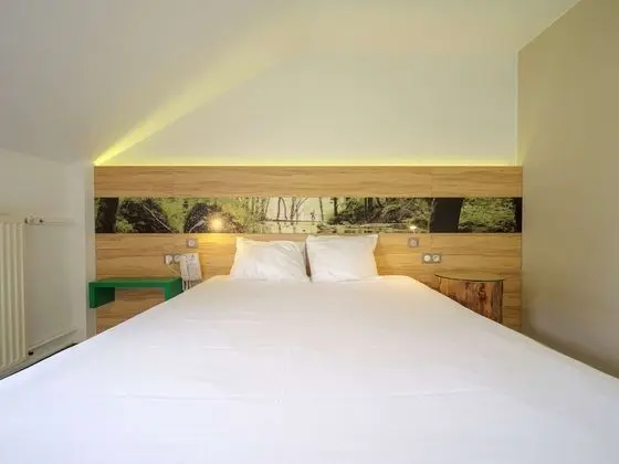 Standard Tek Büyük Yataklı Oda, 1 Çift Kişilik Yatak