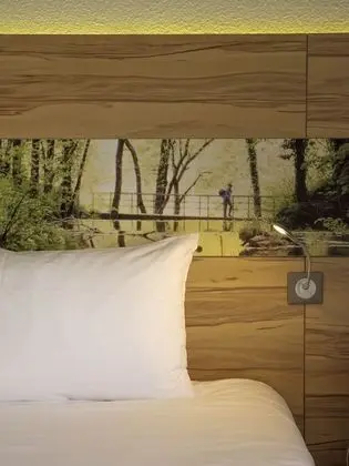 Standard Tek Büyük Yataklı Oda, 1 Çift Kişilik Yatak