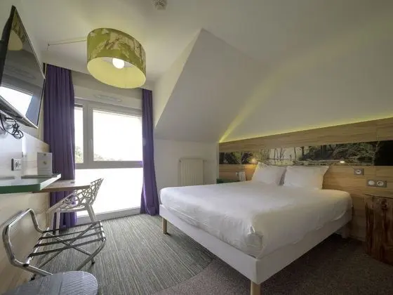 Standard Tek Büyük Yataklı Oda, 1 Çift Kişilik Yatak