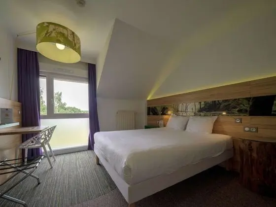 Standard Tek Büyük Yataklı Oda, 1 Çift Kişilik Yatak