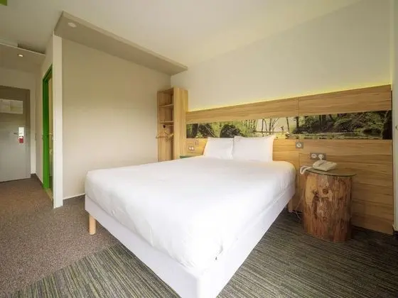 Standard Tek Büyük Yataklı Oda, 1 Çift Kişilik Yatak