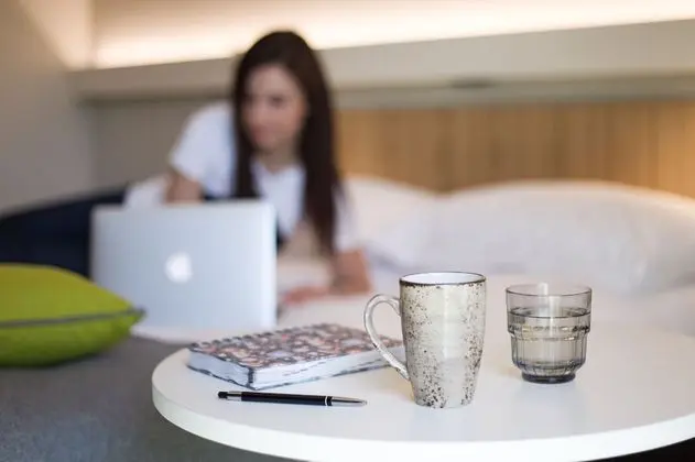 Standard Tek Büyük Yataklı Oda, 1 Çift Kişilik Yatak