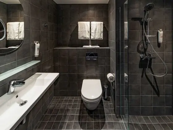 Standard Tek Büyük Yataklı Oda, 1 Çift Kişilik Yatak