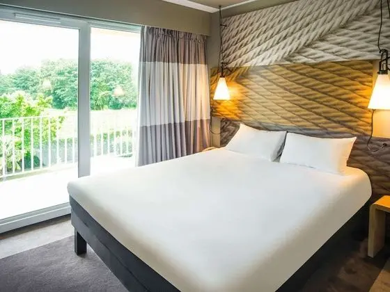 Standard Tek Büyük Yataklı Oda, 1 Çift Kişilik Yatak