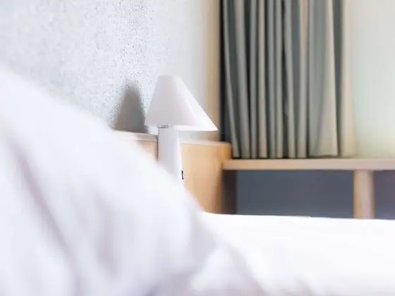 Standard Tek Büyük Yataklı Oda, 1 Çift Kişilik Yatak