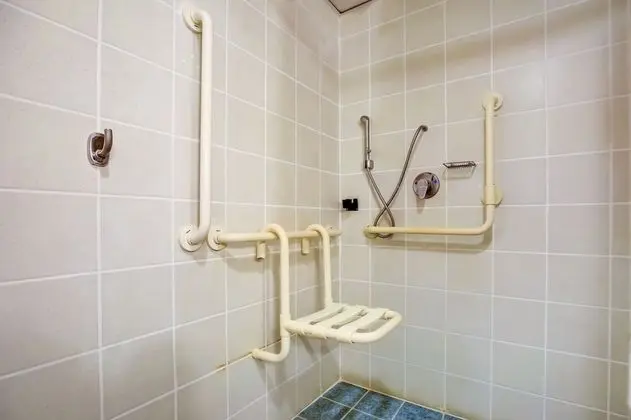 Standard Apart Daire, 1 Çift Kişilik Yatak, Engellilere Uygun