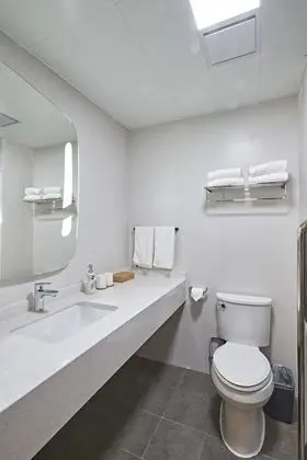 Superior Tek Büyük Yataklı Oda