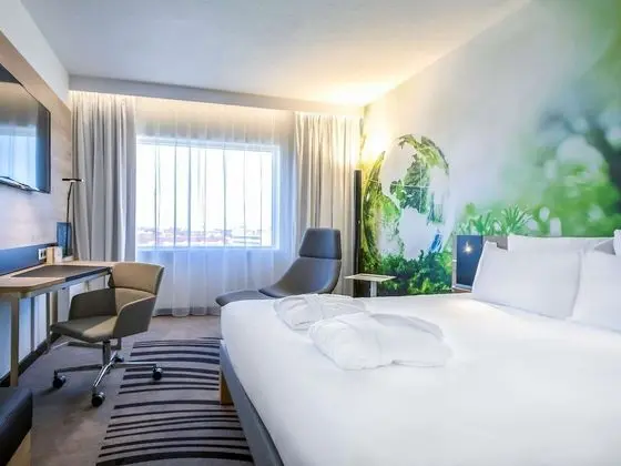 Superior Tek Büyük Yataklı Oda, 1 Çift Kişilik Yatak (Comfortable)