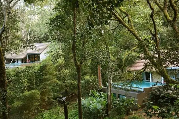 Premium Kır Evi, 1 En Büyük (King) Boy Yatak, Kişiye Özel Havuzlu, Havuz Manzaralı