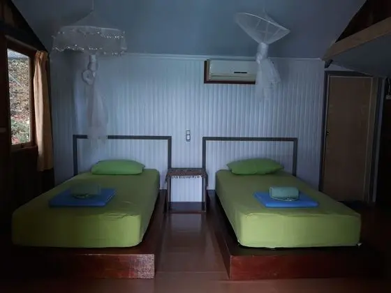 Deluxe Oda, 2 Tek Kişilik Yatak (Jungle Sea View)