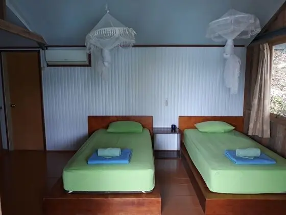 Deluxe Oda, 2 Tek Kişilik Yatak (Jungle Sea View)