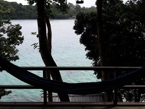 Deluxe Oda, 2 Tek Kişilik Yatak (Jungle Sea View)