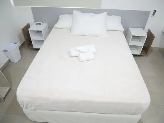 Superior Tek Büyük Yataklı Oda, 1 Çift Kişilik Yatak, Buzdolabı ve Mikrodalga