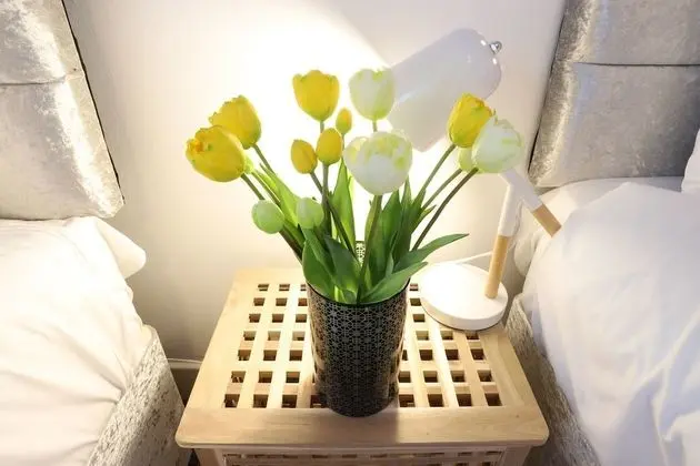 Premier Apart Daire, 2 Yatak Odası