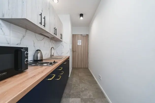 Ice 20 Standard Studio