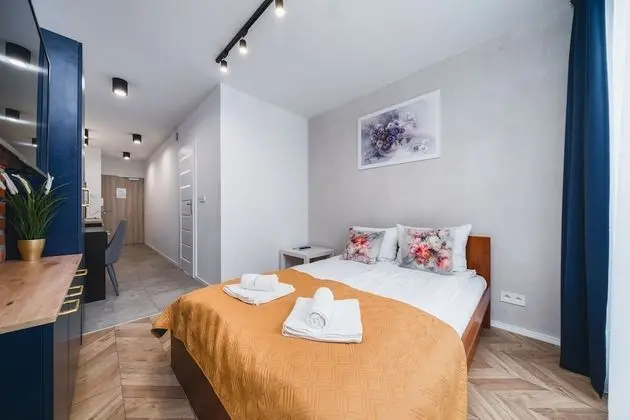 Ice 20 Standard Studio