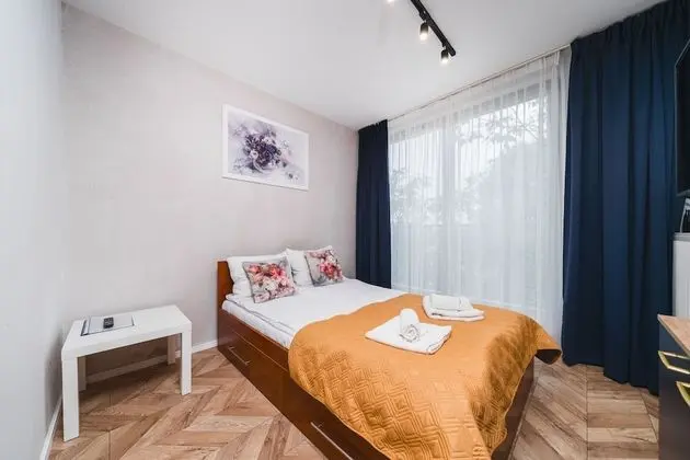 Ice 20 Standard Studio