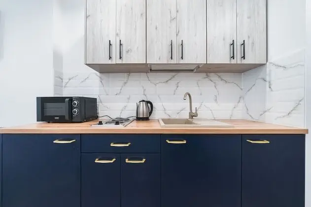 Ice 20 Standard Studio