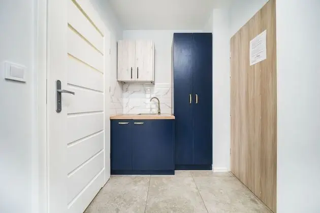 Ice 25 Standard Studio