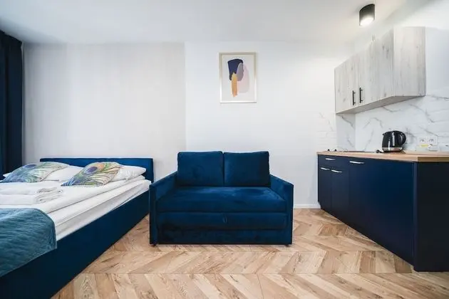 Ice 25 Standard Studio