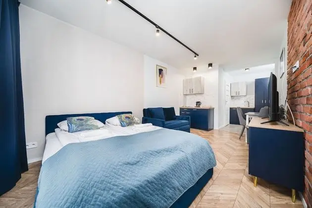 Ice 25 Standard Studio