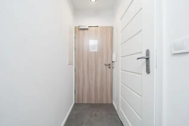 Ice 6 Standard Studio