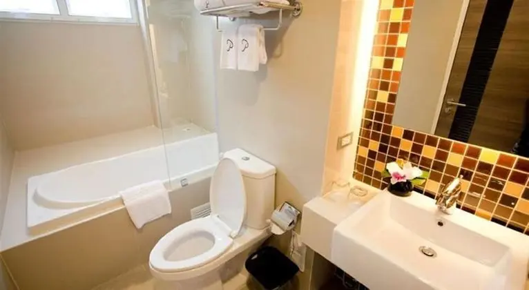Luxury Tek Büyük Yataklı Oda, 1 En Büyük (King) Boy Yatak, Şehir Manzaralı