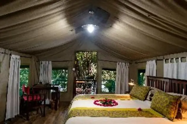 Tent