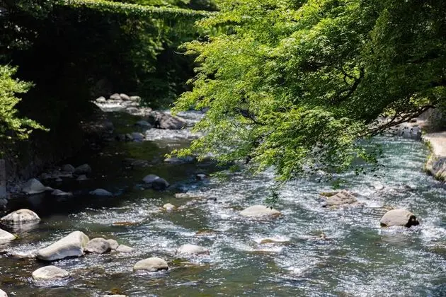 Traditional Dört Kişilik Oda (Japanese Style, Panoramic-view Bath)