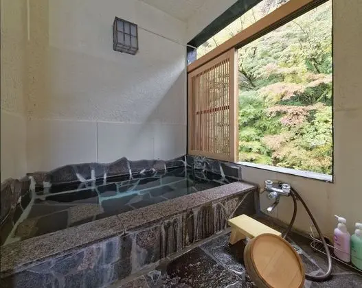 Traditional Dört Kişilik Oda (Japanese Style, Panoramic-view Bath)