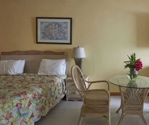 Villa, 1 Yatak Odası