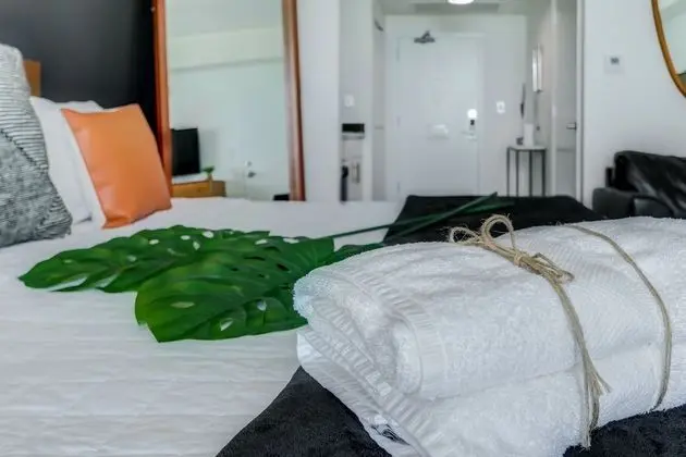 Stüdyo, Şehir Manzaralı (in Coconut Grove)