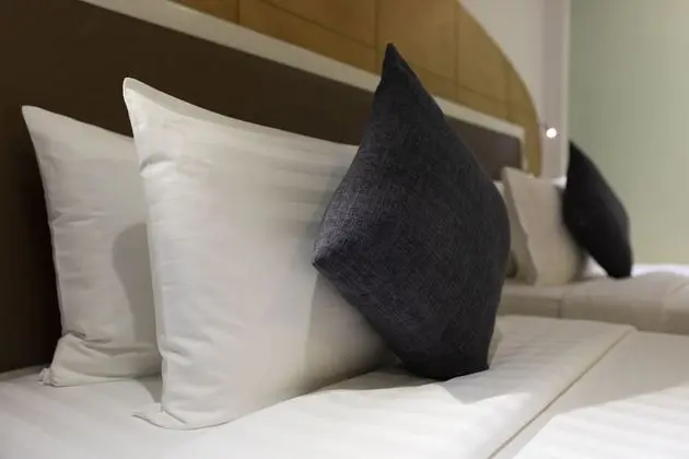 Superior Oda, 1 Çift Kişilik veya 2 Tek Kişilik Yatak, Sigara İçilmez, Şehir Manzaralı