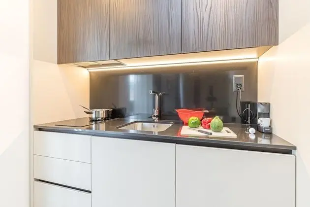 Family Stüdyo, 1 Çift Kişilik Yatak (ICON H 302 Suite Micro-Living)