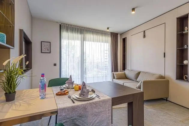 Family Stüdyo, 1 Çift Kişilik Yatak (ICON H 308 Suite Micro-Living)