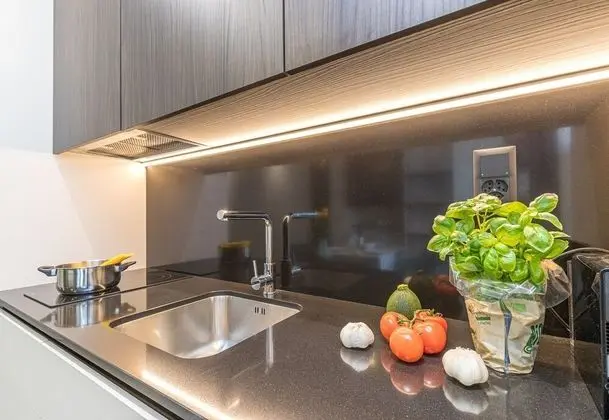 Family Stüdyo, 1 Çift Kişilik Yatak (ICON H 503 Suite Micro-Living)