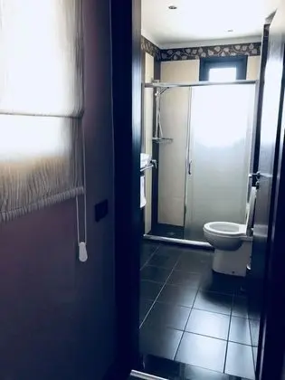 Süit