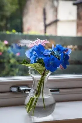 Kır Evi, 1 Büyük (Queen) Boy Yatak