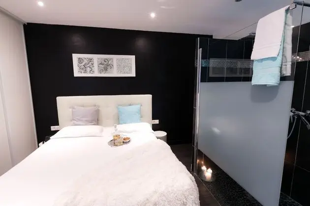 Comfort Tek Büyük Yataklı Oda (Occupation Single)