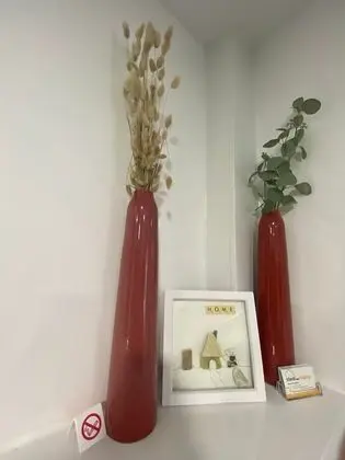 Ev