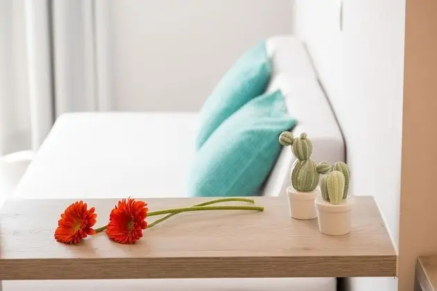 Superior Tek Büyük Yataklı Oda