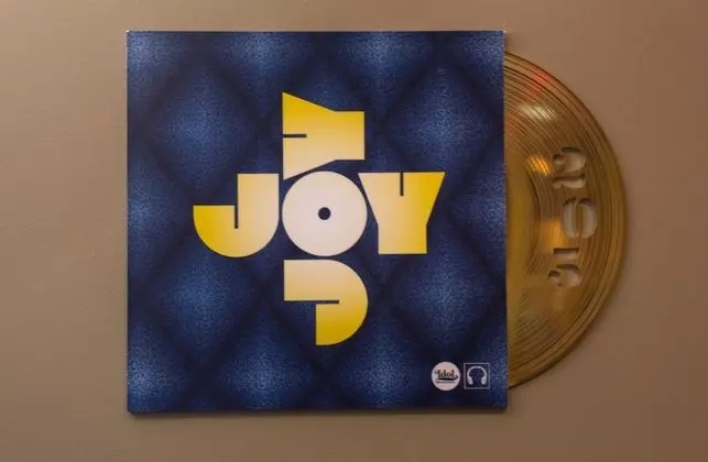Tek Kişilik Oda (Joy)