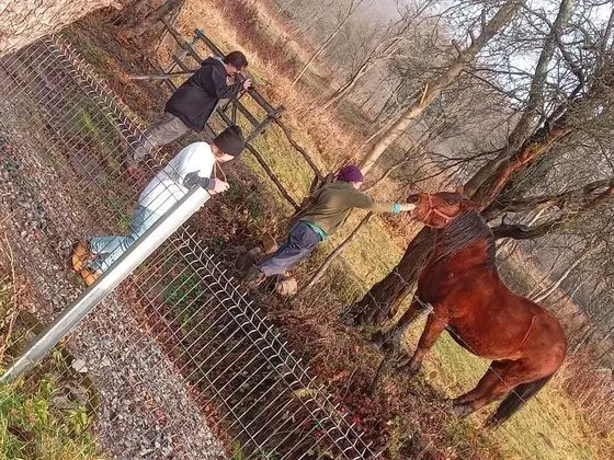 Oda, 1 Yatak Odası, Sıcak Su Havuzu