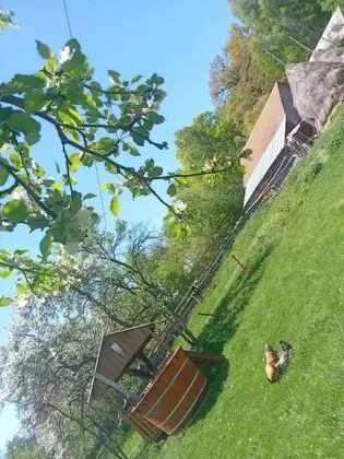 Oda, 1 Yatak Odası, Sıcak Su Havuzu