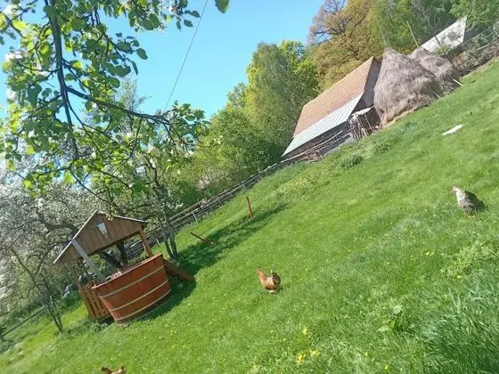 Oda, 1 Yatak Odası, Sıcak Su Havuzu