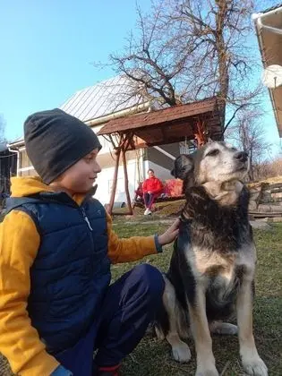 Oda, 1 Yatak Odası, Sıcak Su Havuzu