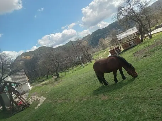 Oda, 1 Yatak Odası, Sıcak Su Havuzu