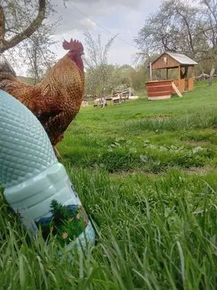 Oda, 1 Yatak Odası, Sıcak Su Havuzu